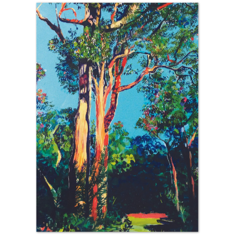 Australian tree print of a marri tree in bushland