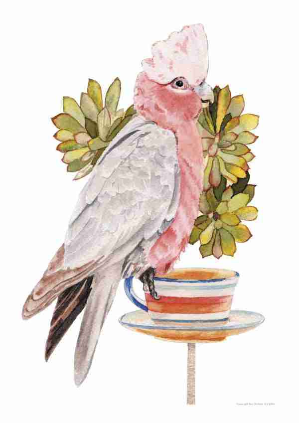 Pink Galah Art Print