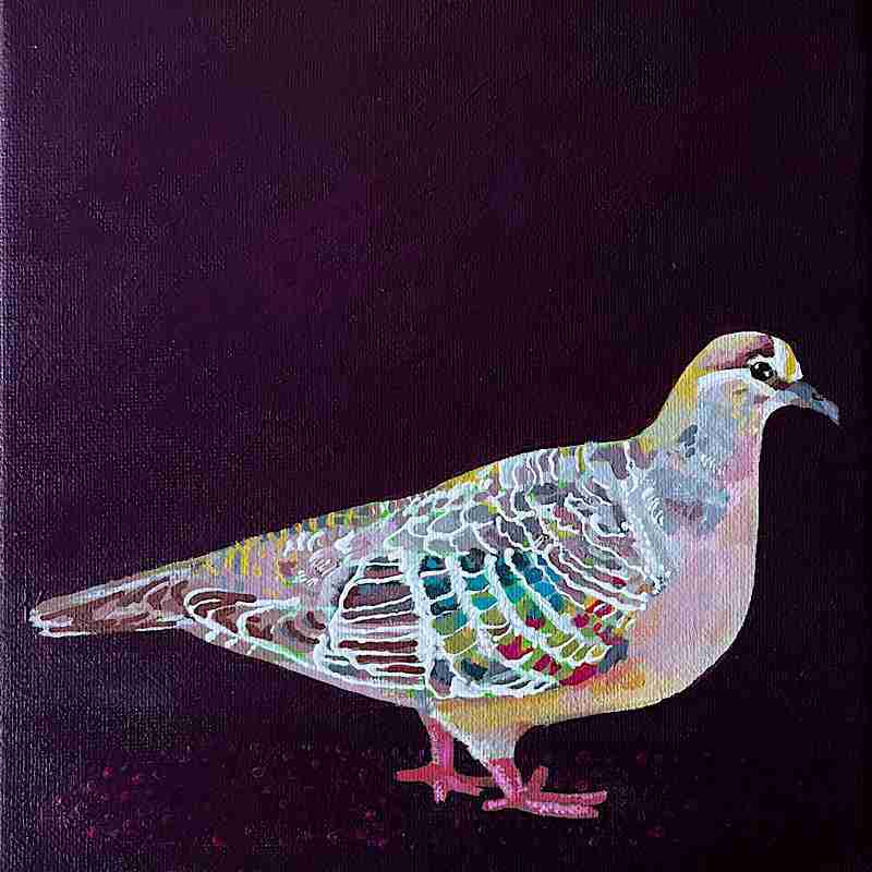 Acrylic painting of Bronzewing pigeon on a deep burgundy background