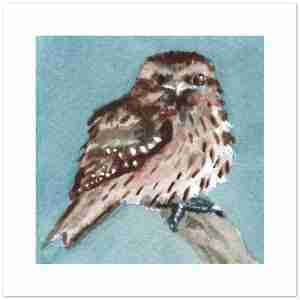 Design of Tawny frogmouth bird cards with a blue background