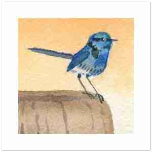 Blue Fairy wren cards with a wren on a log against a yellow background