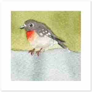 Australian robin bird cards with a robin perched on top of a fence