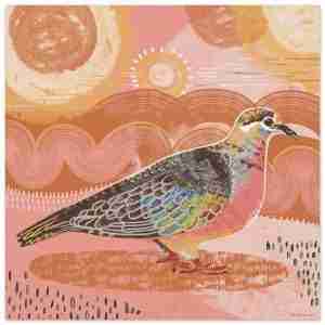 Bronzewing Pigeon Bird art