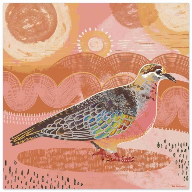 Bronzewing Pigeon Bird art