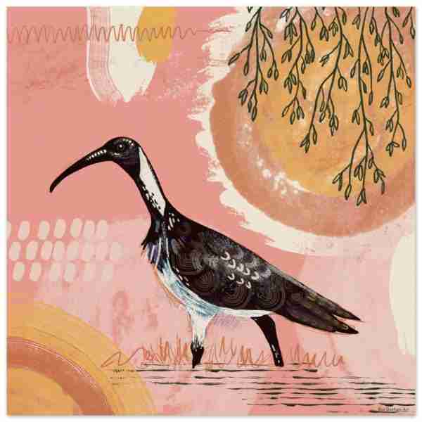 Ibis art print with an ibis bird against a warm background