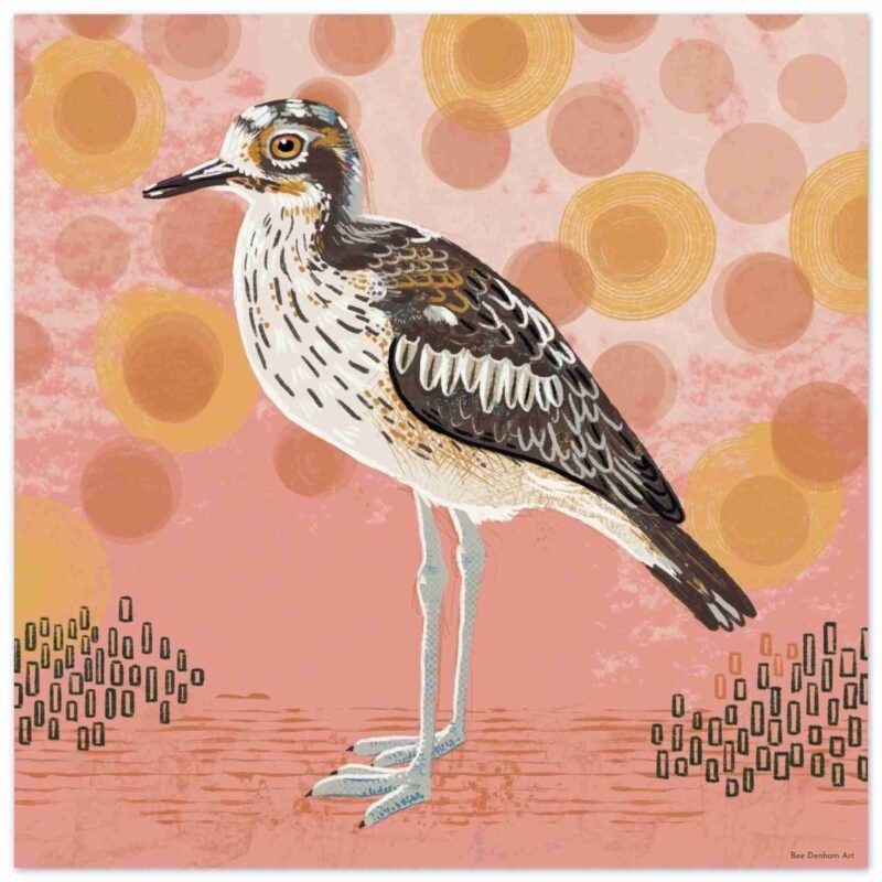 Bush stone curlew art featuring this quirky bird on a warm background