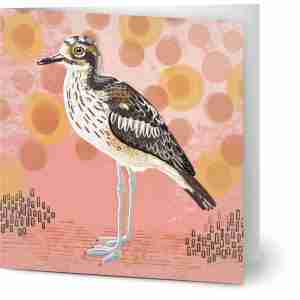 Bush stone curlew card