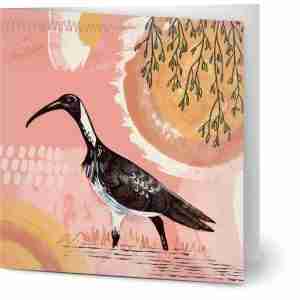 Ibis greeting cards