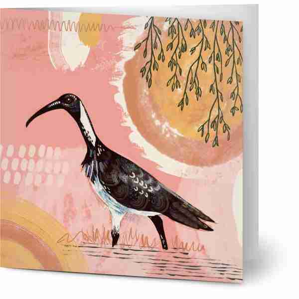 Ibis greeting cards
