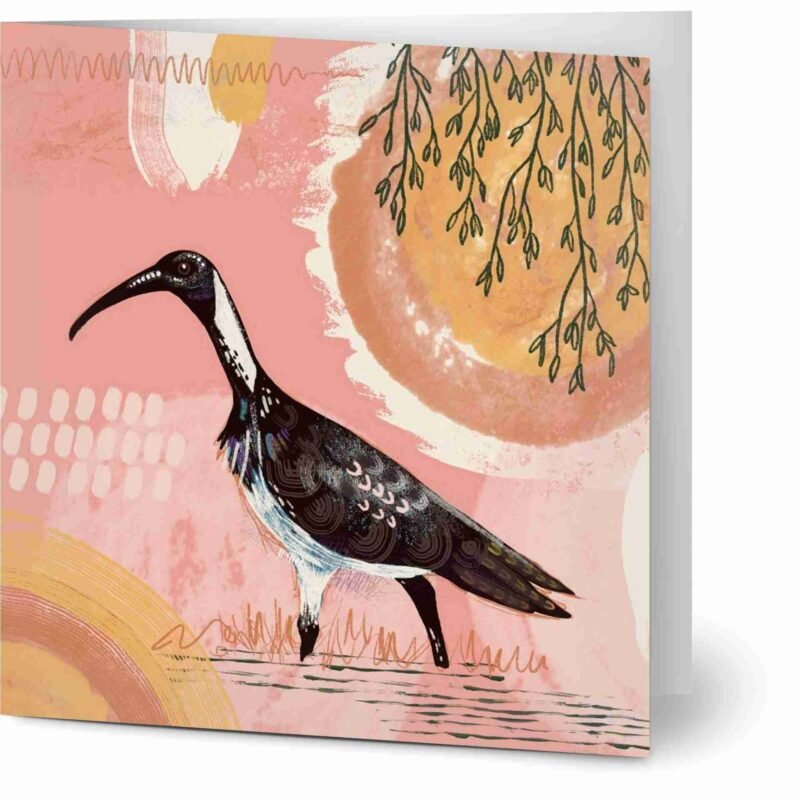 Ibis greeting cards