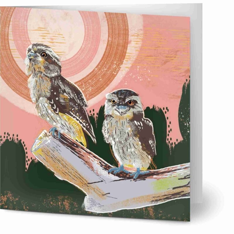 tawny frogmouth cards